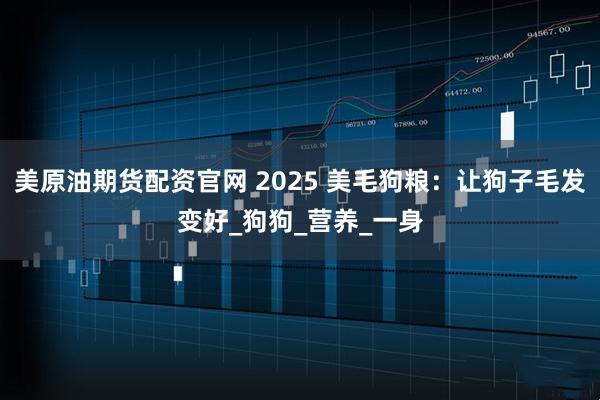 美原油期货配资官网 2025 美毛狗粮：让狗子毛发变好_狗狗_营养_一身